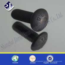 Black finished round head bolt